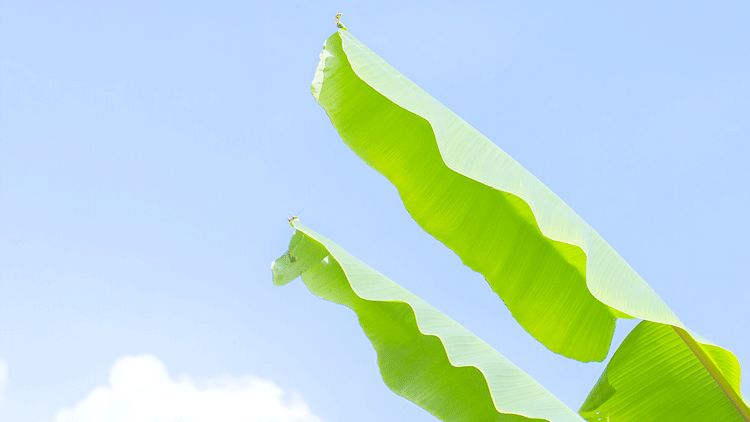 1588644867458384.jpg 微信圖片_20200505101013.jpg