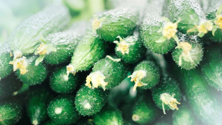 1588645022861939.jpg 微信圖片_20200505101049.jpg