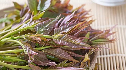 1681970747740823.png image.png