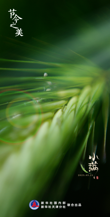 1684715377334657.png image.png